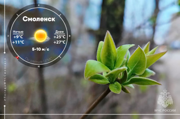 малооблачная и без осадков погода ожидается завтра на территории Смоленской области - фото - 2
