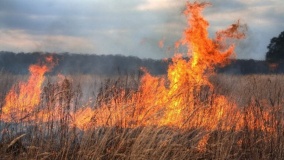 на территории Смоленской области каждой весной пожарная обстановка осложняется в связи с горением сухой травы - фото - 1