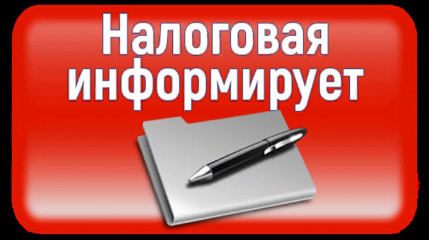 посетителям МФЦ в Вязьме рассказали о получении льгот и уплате налогов - фото - 1