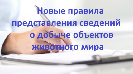 с 2025 года вступают в силу новые правила представления сведений о добыче объектов животного мира - фото - 1