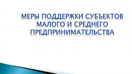 коротко о мерах поддержки субъектов малого и среднего предпринимательства - фото - 1