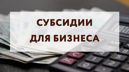предоставление субсидий субъектам МСП, заключившим договор (договоры) лизинга оборудования с российскими лизинговыми организациями, на возмещение части затрат на уплату первого взноса (аванса) - фото - 2