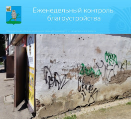 рабочая группа по осуществлению контроля за соблюдением Правил благоустройства вновь проинспектировала территорию города Сычевки - фото - 1