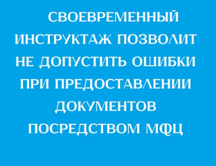 своевременный инструктаж позволит не допустить ошибки при предоставлении документов посредством МФЦ - фото - 1