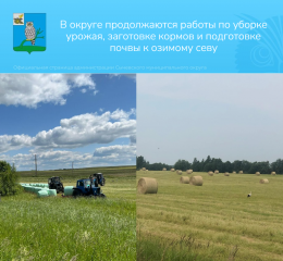 в округе продолжаются работы по уборке урожая, заготовке кормов и подготовке почвы к озимому севу - фото - 1