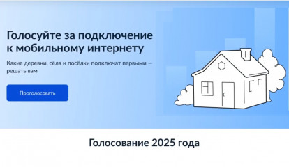 смоляне голосуют за подключение деревень и сёл к интернету - фото - 1