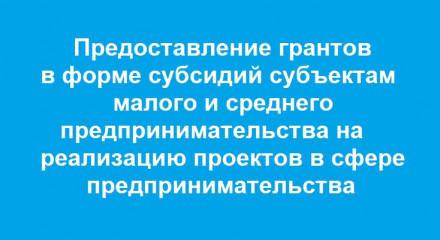 предоставление грантов в форме субсидий субъектам малого и среднего предпринимательства на реализацию проектов в сфере предпринимательства - фото - 1