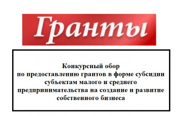предоставление грантов в форме субсидий субъектам малого и среднего предпринимательства на реализацию проектов в сфере предпринимательства - фото - 1