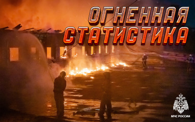 o статистике пожаров и их последствиях за 8 месяцев 2025 года - фото - 1