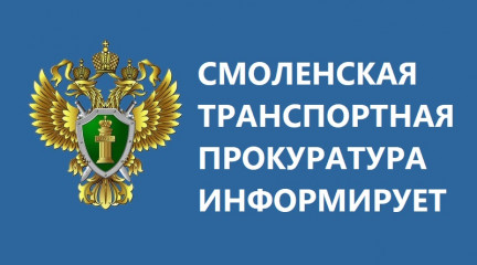 в суд направлено уголовное дело по факту покушения на контрабанду бивней мамонтов - фото - 1