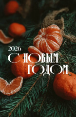 уважаемые жители Сычевского округа! Поздравляем вас с Новым 2026 годом и светлым праздником Рождества Христова - фото - 1