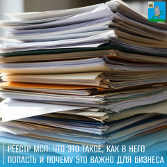 реестр МСП: что это такое, как в него попасть и почему это важно для бизнеса - фото - 1
