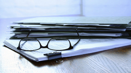 рабочая встреча в рамках консультирования - фото - 1