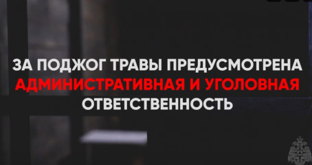 мчс призывает жителей региона отказаться от палов травы - фото - 1