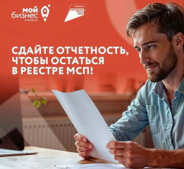 о предоставлении отчетности субъектами малого и среднего предпринимательства - фото - 1
