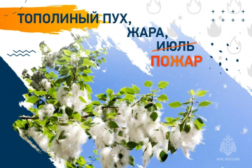 мчс предупреждает: сжигание тополиного пуха — плохая идея - фото - 1