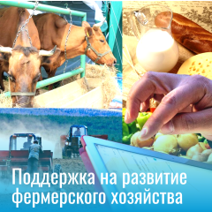 поддержка на развитие фермерского хозяйства - фото - 1